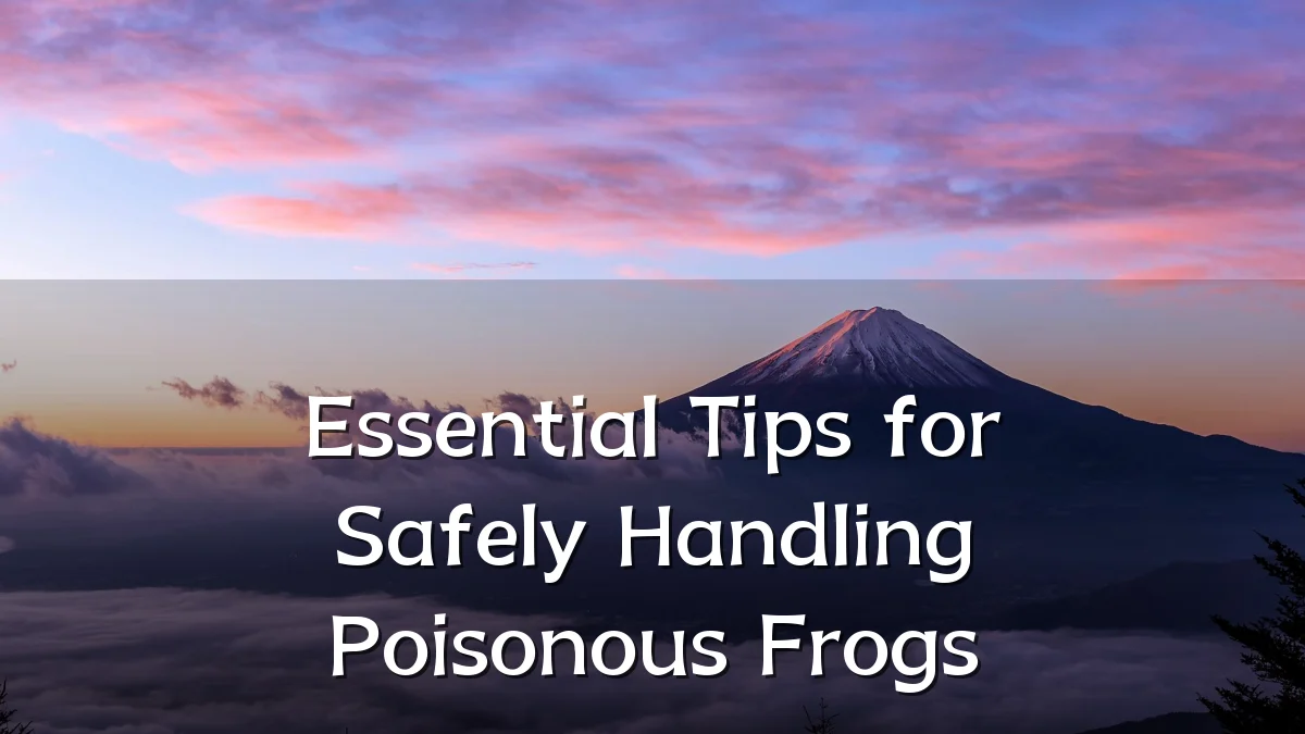 Essential Tips for Safely Handling Poisonous Frogs
