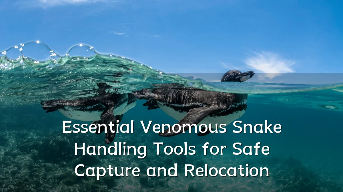 Essential Venomous Snake Handling Tools for Safe Capture and Relocation