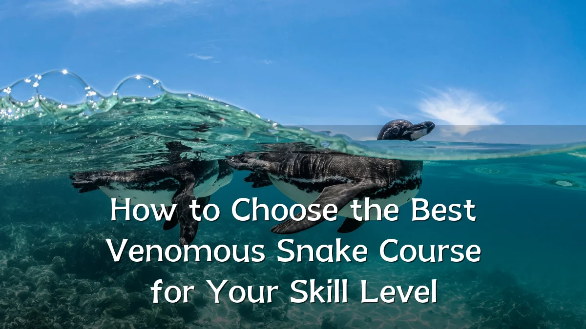 How to Choose the Best Venomous Snake Course for Your Skill Level