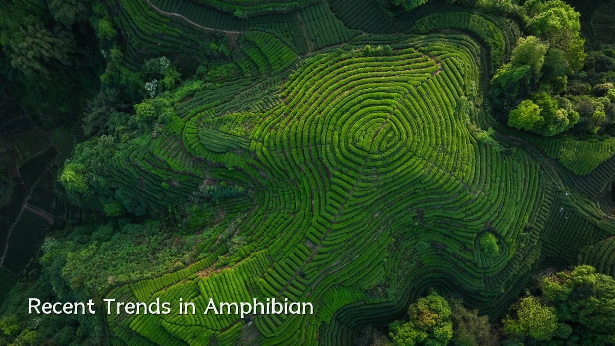 Recent Trends in Amphibian