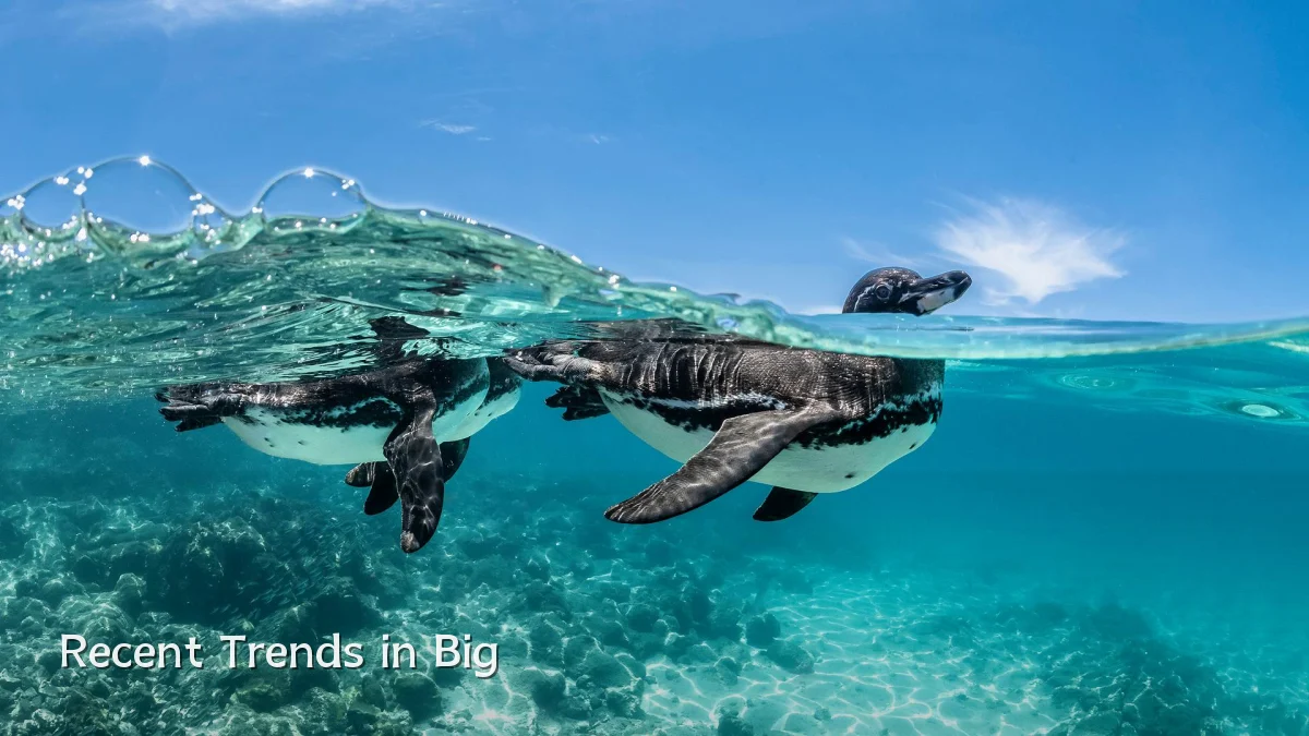 Recent Trends in Big