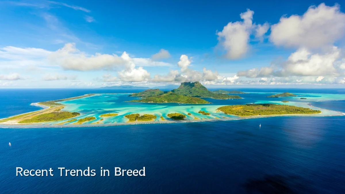 Recent Trends in Breed