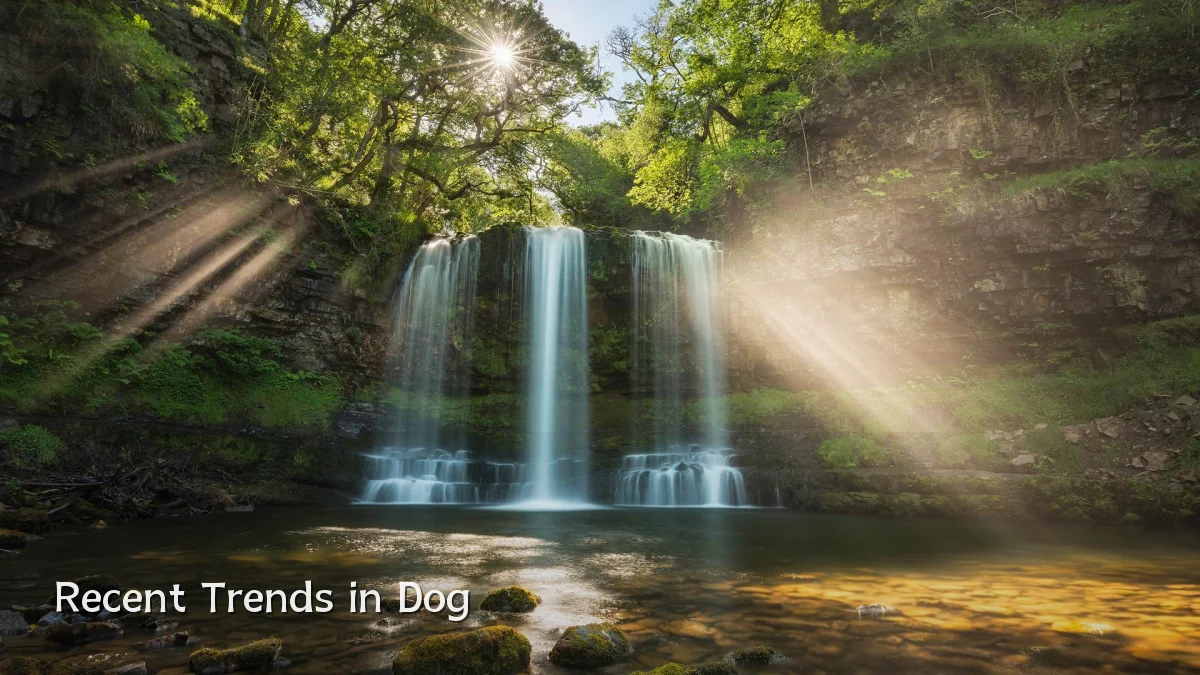 Recent Trends in Dog