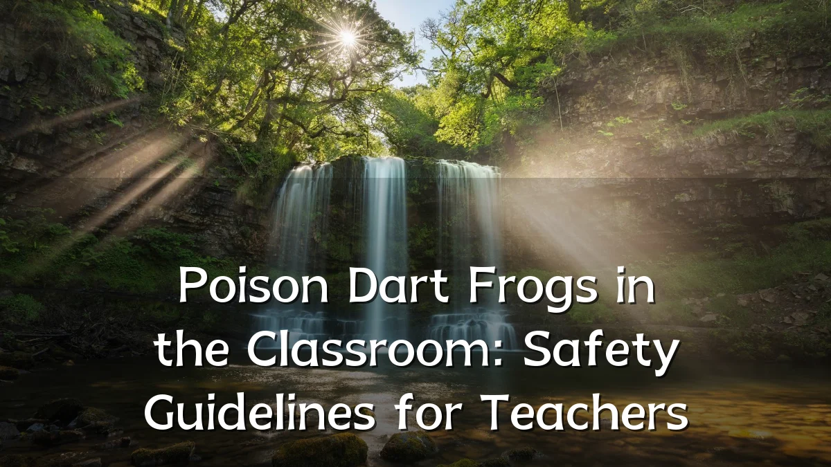 Poison Dart Frogs in the Classroom: Safety Guidelines for Teachers