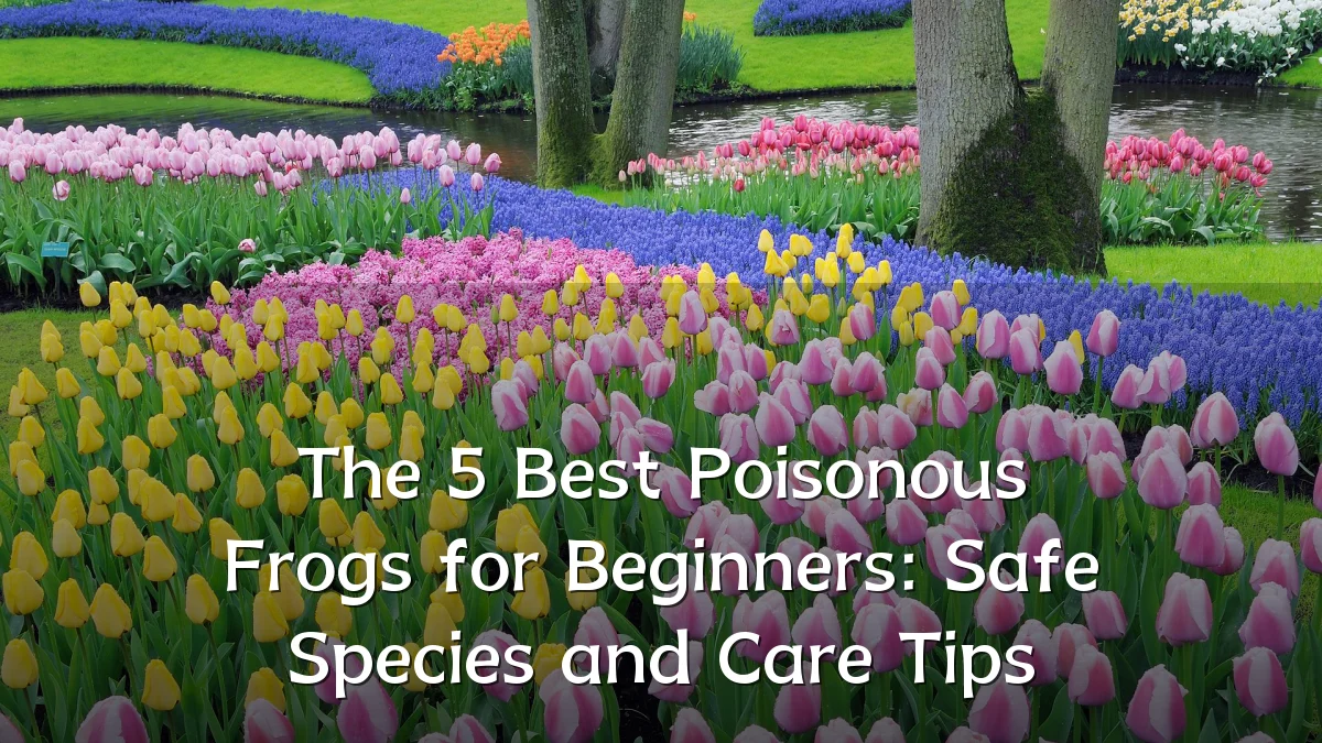 The 5 Best Poisonous Frogs for Beginners: Safe Species and Care Tips
