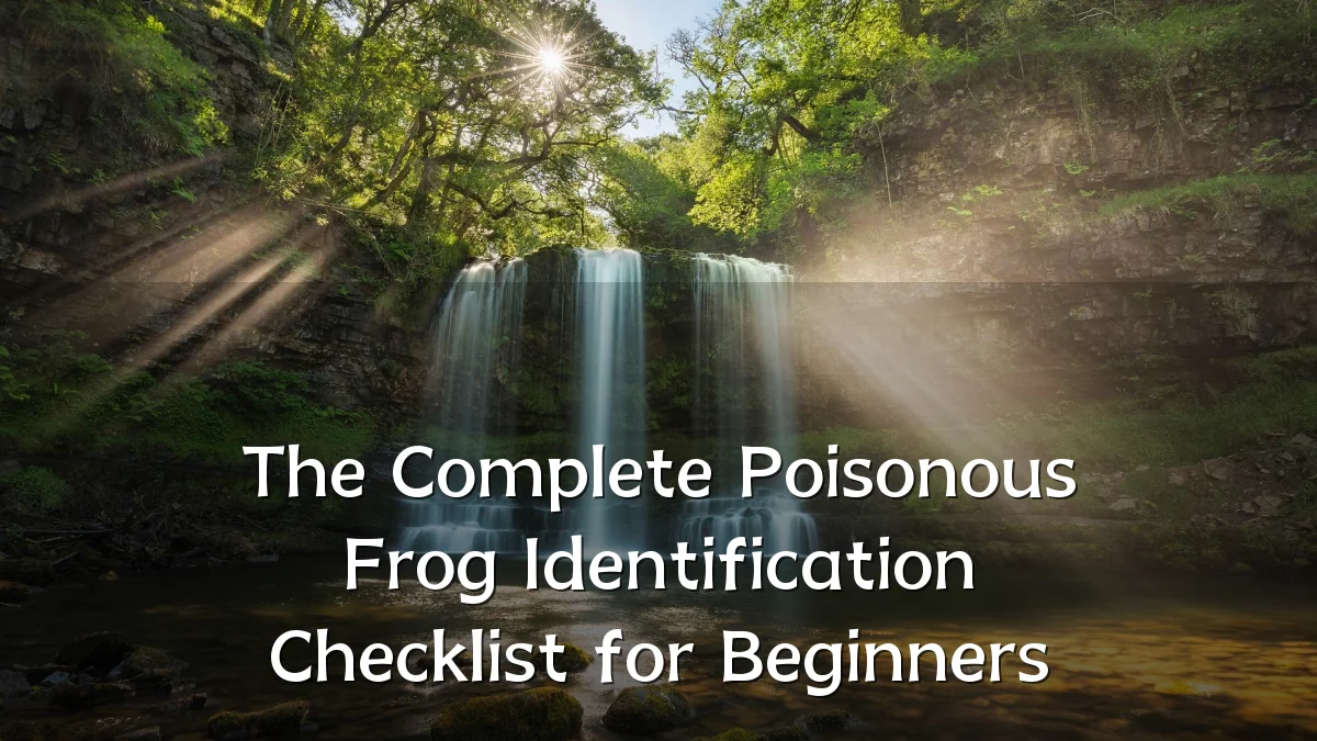 The Complete Poisonous Frog Identification Checklist for Beginners