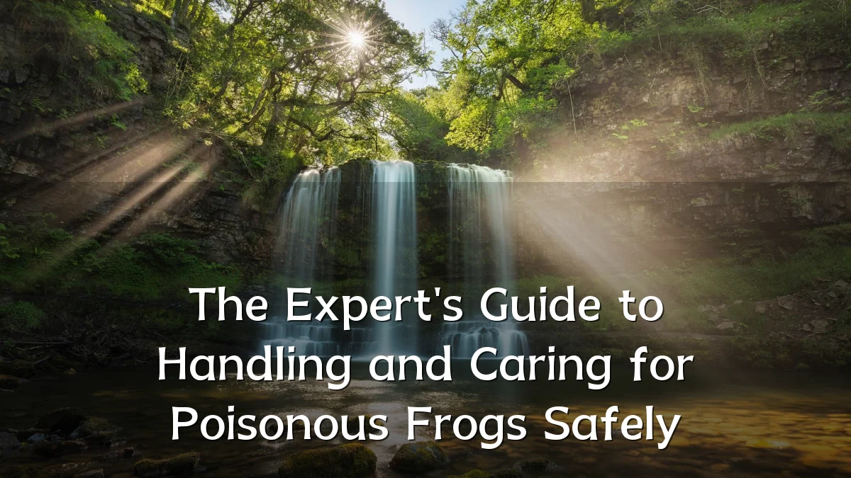 The Expert's Guide to Handling and Caring for Poisonous Frogs Safely