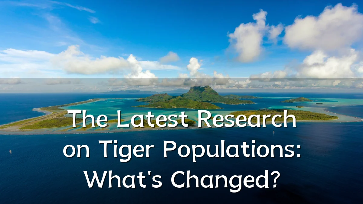 The Latest Research on Tiger Populations: What's Changed?