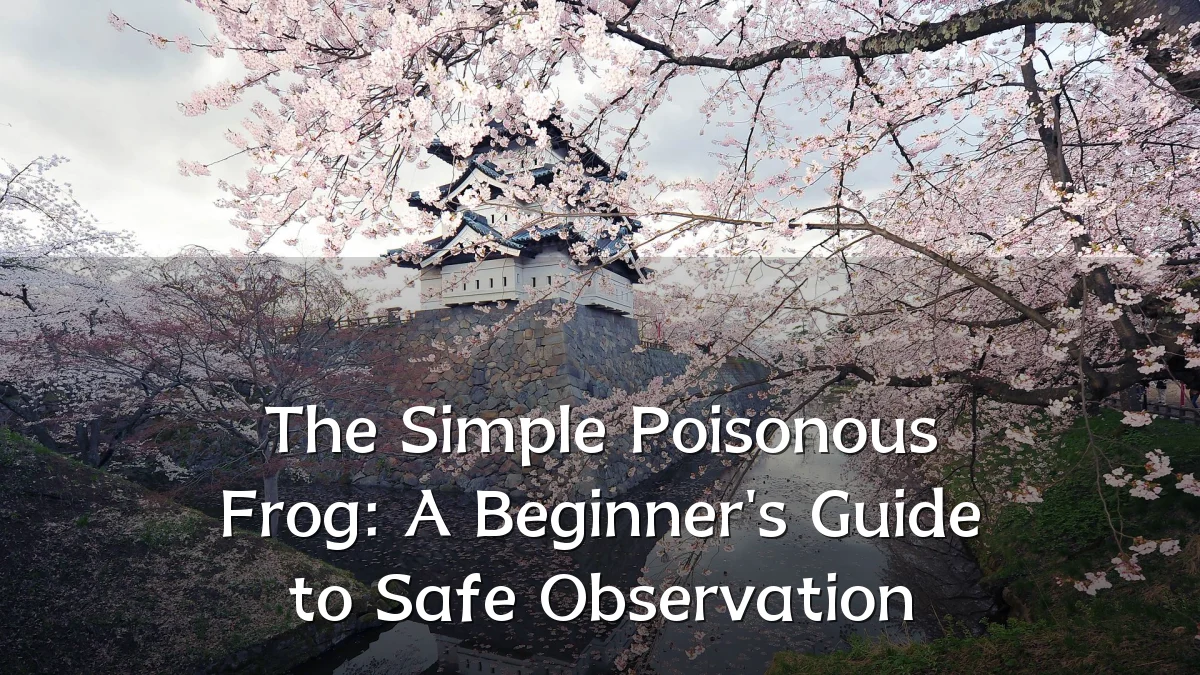 The Simple Poisonous Frog: A Beginner's Guide to Safe Observation