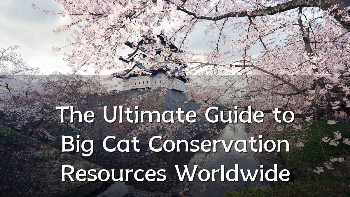 The Ultimate Guide to Big Cat Conservation Resources Worldwide