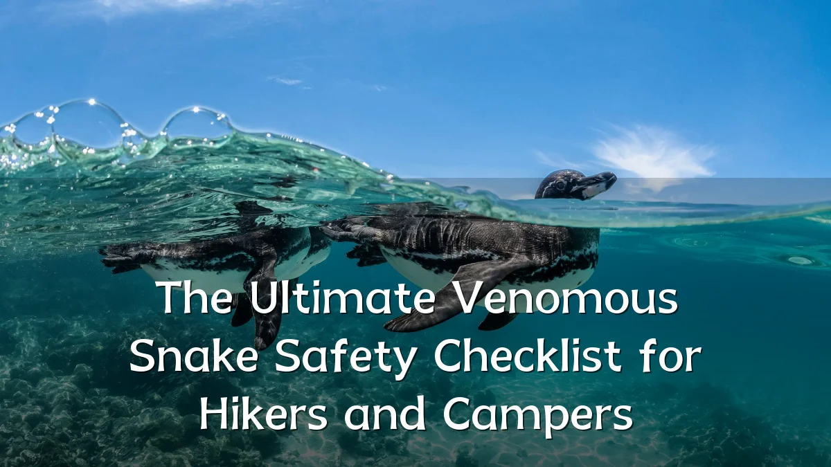 The Ultimate Venomous Snake Safety Checklist for Hikers and Campers