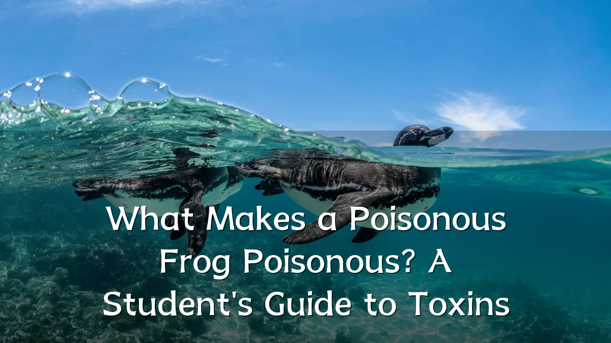 What Makes a Poisonous Frog Poisonous? A Student's Guide to Toxins